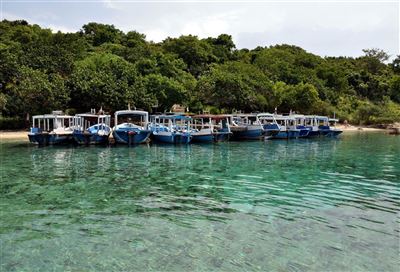 Insel Menjangan
